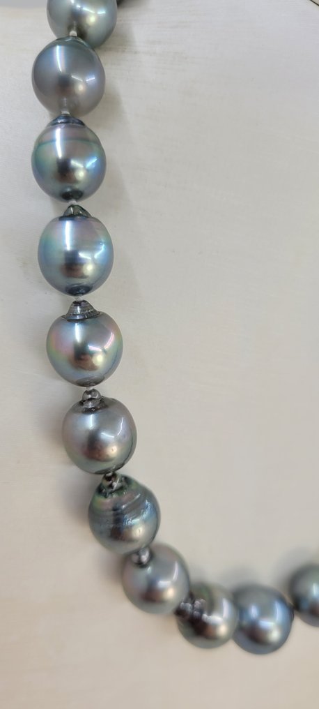 Halskette ALGT-zertifizierte 11,1 x 14,3 mm regenbogenfarbene silberne Tahitiperlen #3.1