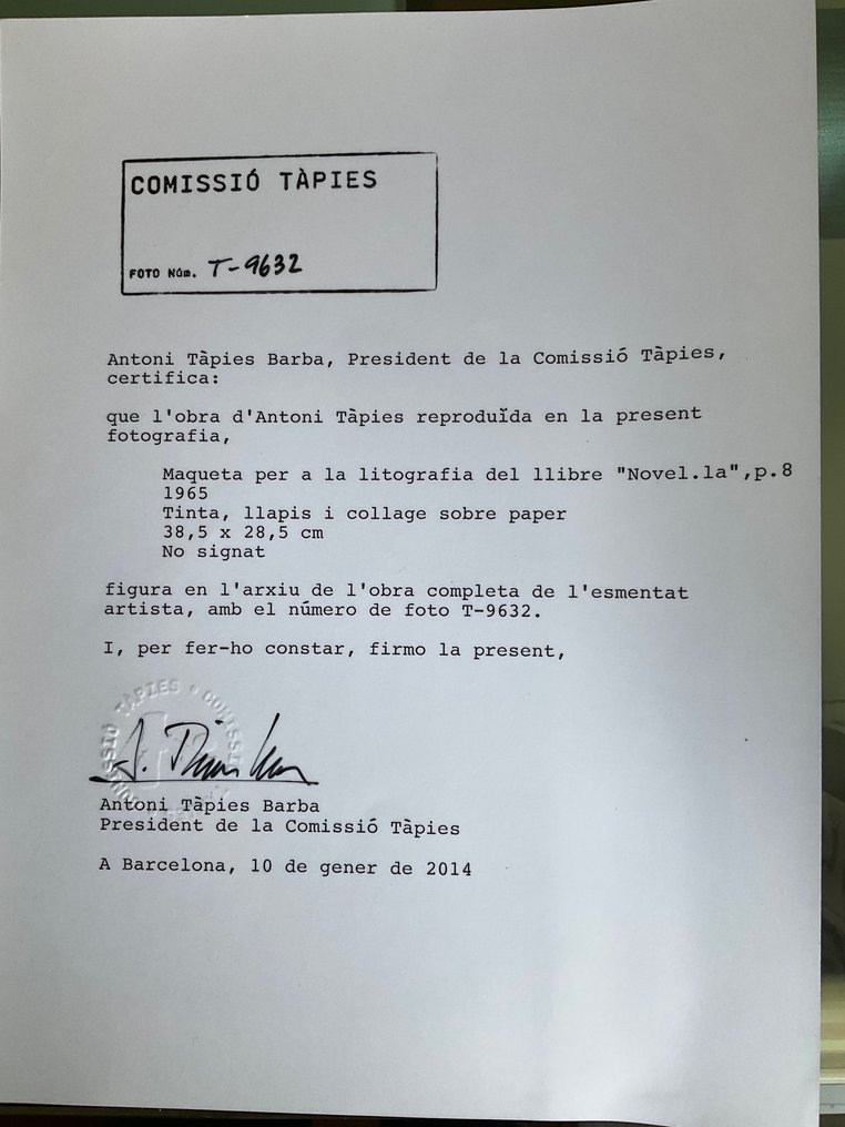 Antoni Tapies (1923-2012) - Skull de Antoni Tapies #2.1