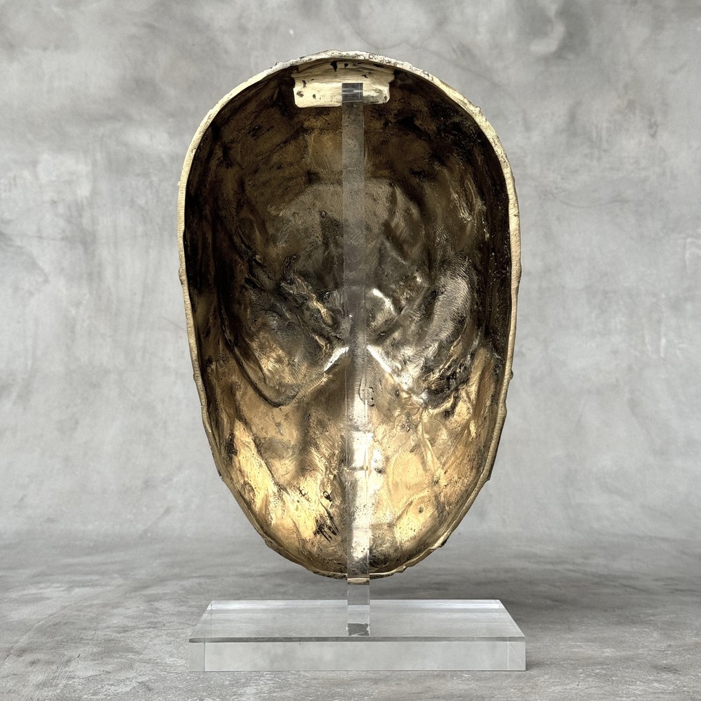 Mitch Richmond (1983) - Urban Legend #4.3