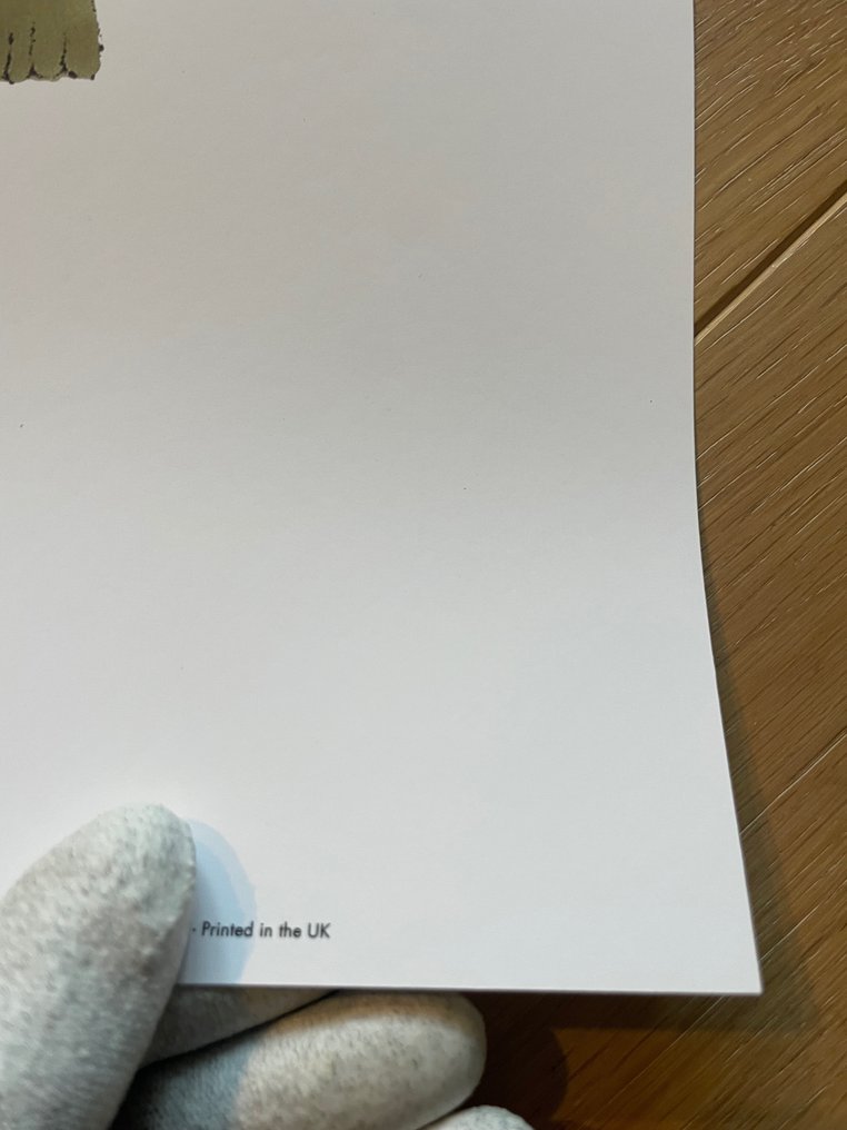 Andy Warhol (after) - (1928-1987), Green Sam , c. 1954, copyright 2013 The Andy Warhol Foundation for Visual Arts Inc., #4.3