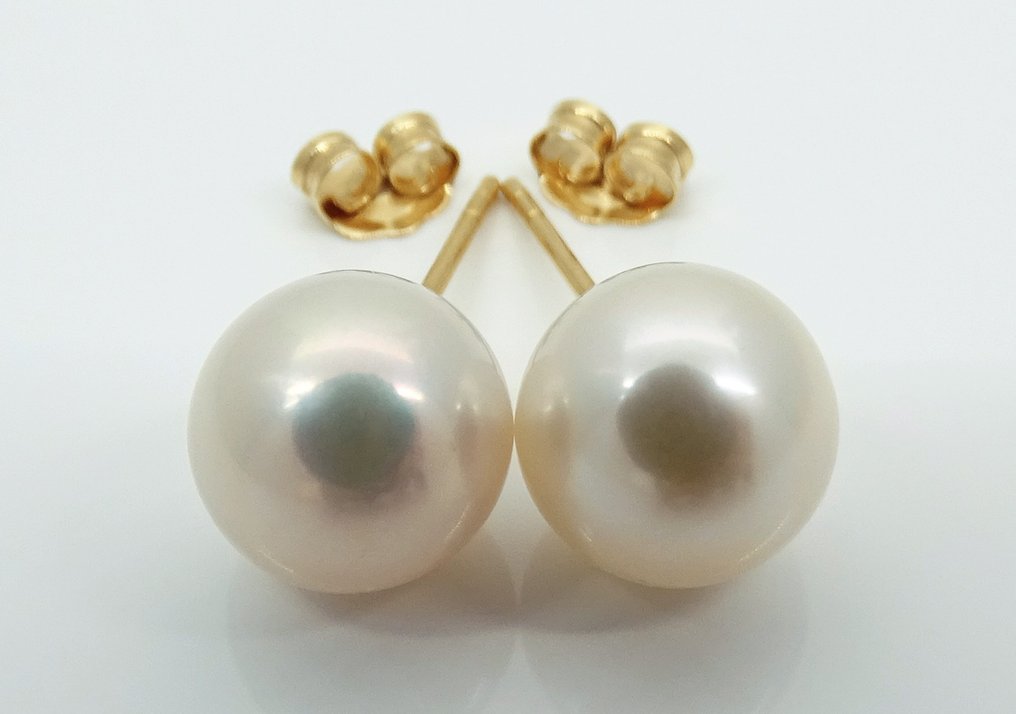 No Reserve Price - Earrings - 18 kt. Yellow gold Pearl - Akoya Pearl Round 8.5-9mm #1.1