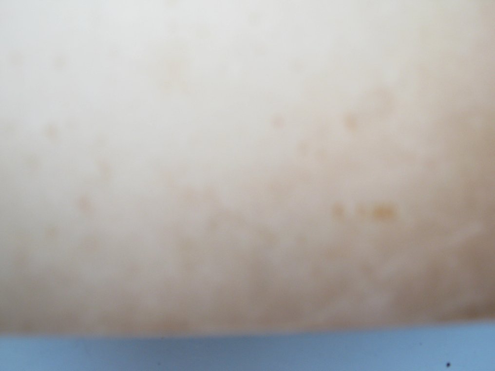 El Pintor / Jef Last - Wat Hassan zag - 1943 #4.3