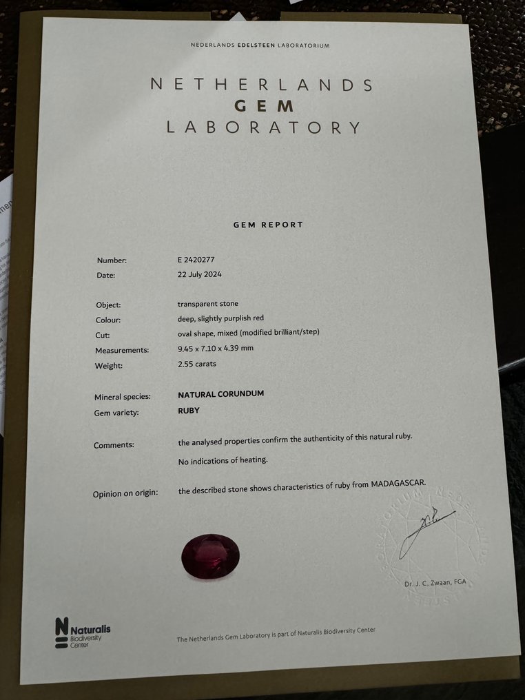 1 pcs  紅色 紅寶石  - 2.55 ct - Netherlands Gem Laboratory (NEL) - 鴿子紅寶石 #4.3
