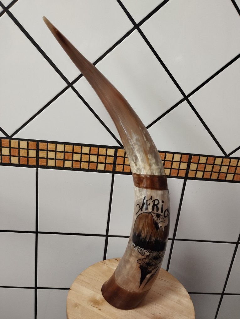 Decorative ornament - Worked horn #1.0