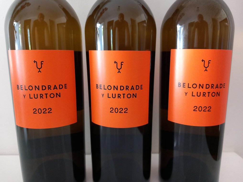 2022 Bodega Belondrade y Lurton, Verdejo - Rueda - 3 Pullot (0.7 L) #2.1