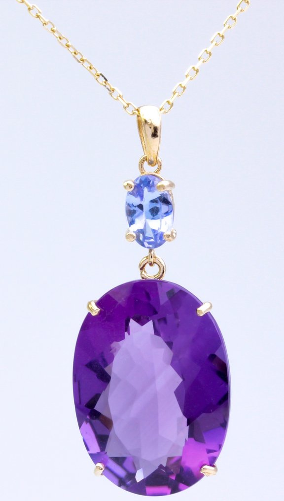 Zonder Minimumprijs - Halsketting - 14 karaat Geel goud Amethist - Tanzaniet #1.0