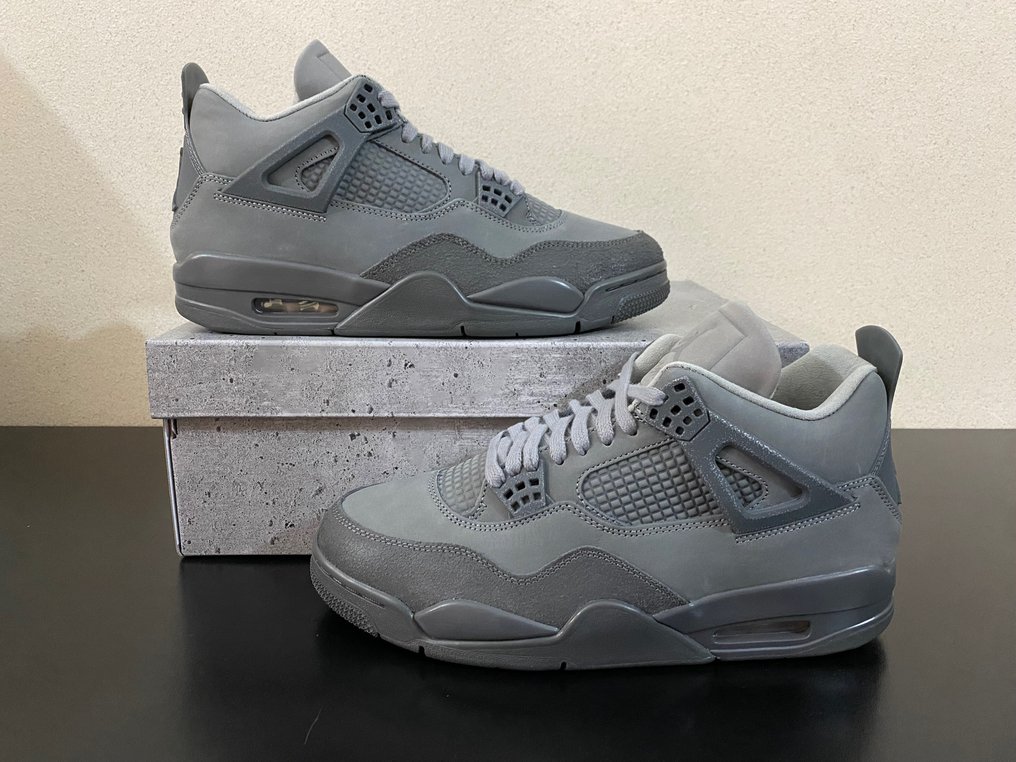 Air Jordan Sneakers Maat 44 EU IT 10 UK 11 US online veiling Catawiki