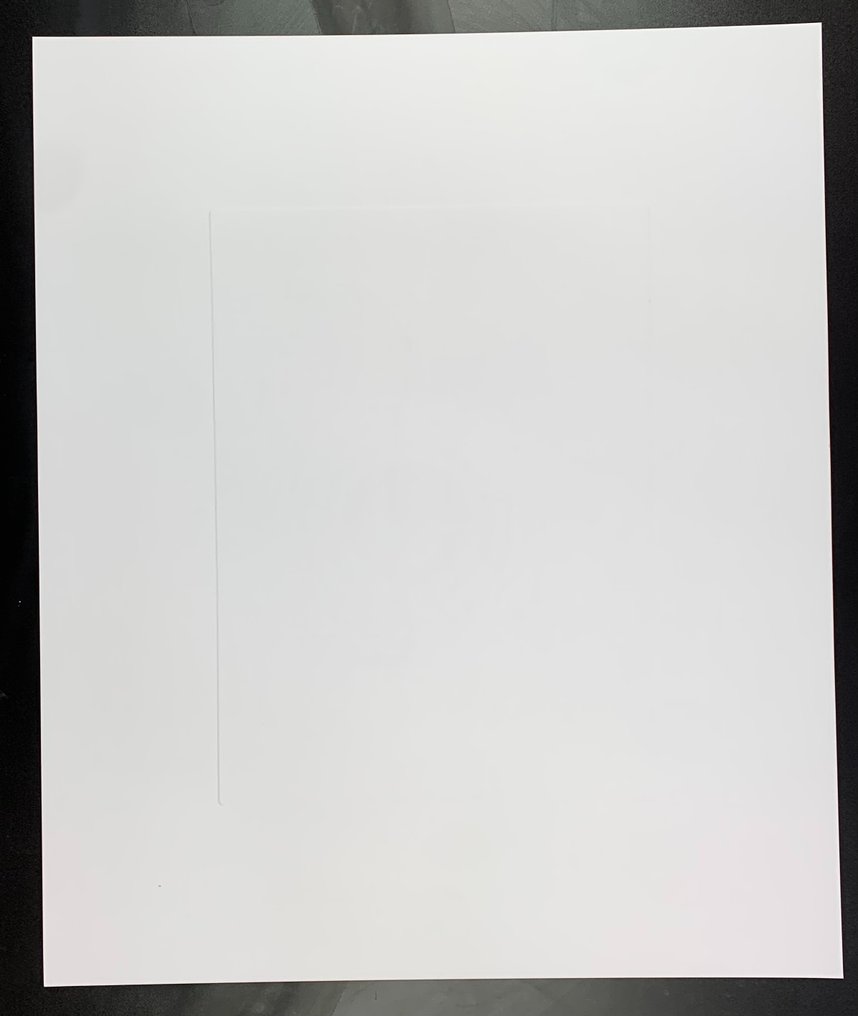 Pablo Picasso (1881-1973) - Penguin, 1907 - Serigraph on Handmade Paper - 60 x 50 cm #4.3