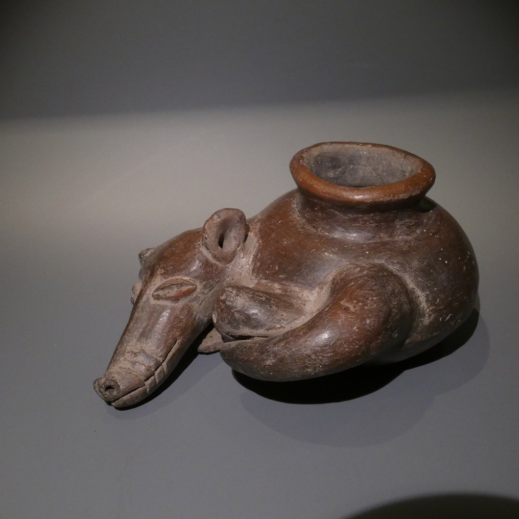 Nayarit Teracotă Vas pentru câini. 20 cm diametru. 100 î.Hr. - 250 d.Hr. Licență de export spaniolă. #1.0