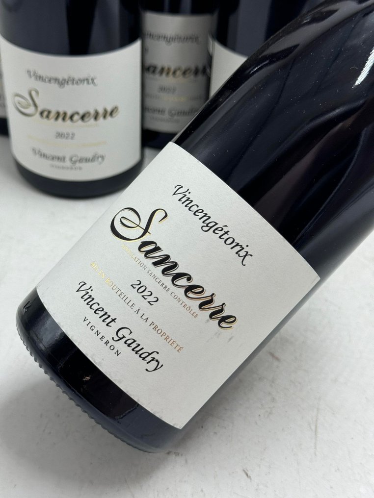 2022 Vincent Gaudry, Vincengetorix - Sancerre - 6 Bouteilles (0,75 L) #1.2