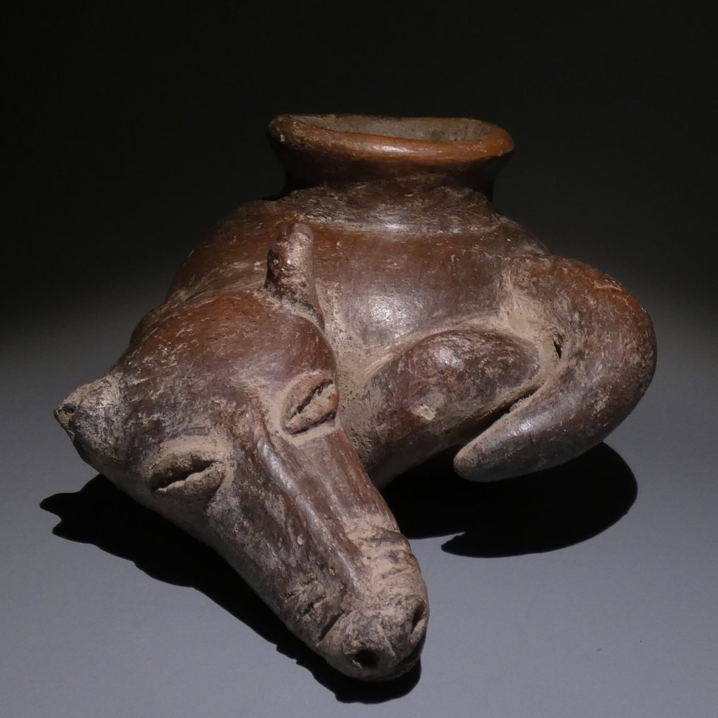 Nayarit Teracotă Vas pentru câini. 20 cm diametru. 100 î.Hr. - 250 d.Hr. Licență de export spaniolă. #2.1