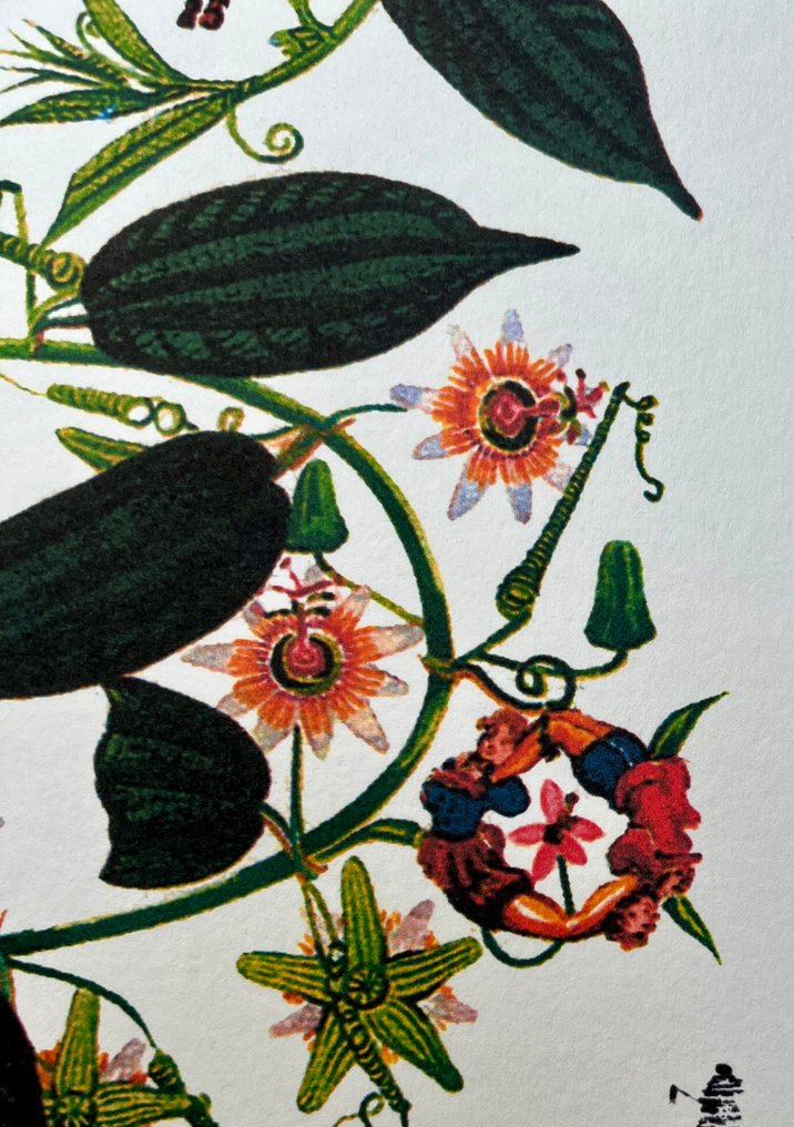 Salvador Dali (1904-1989) - Passion Flower-Limited Edition #3.2