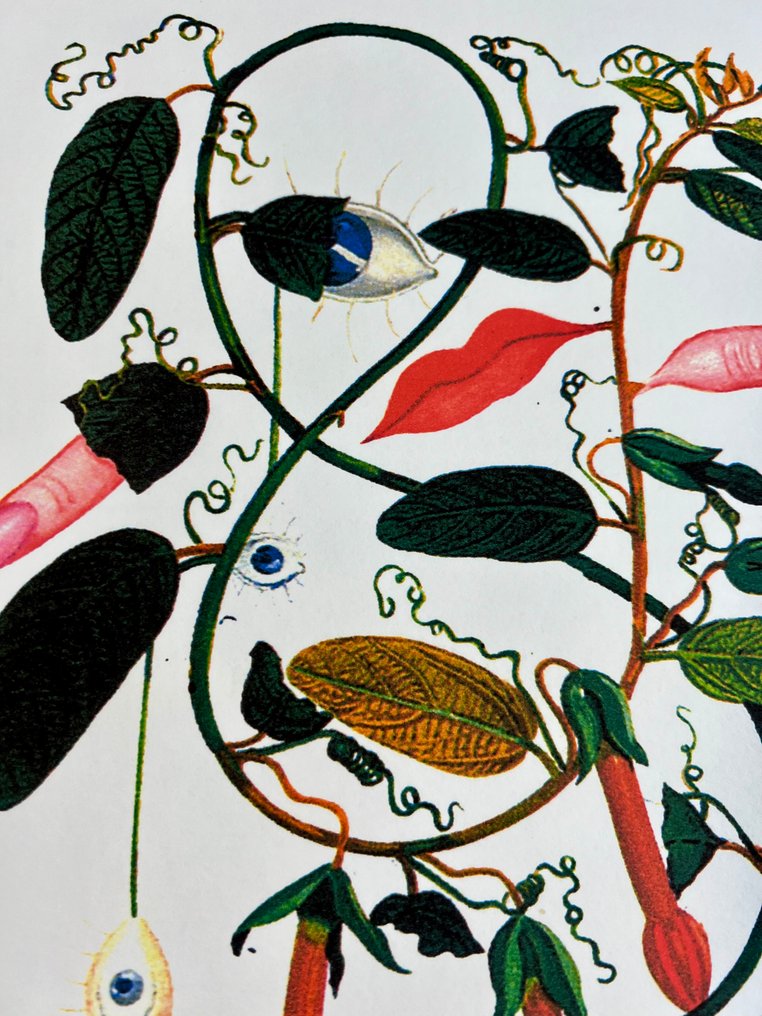 Salvador Dali (1904-1989) - Flora Sensuale #4.3