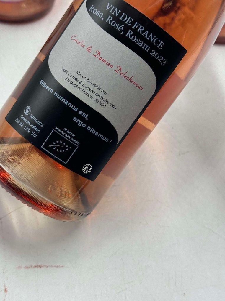 2023 Coralie & Damien Delecheneau "Rosa, Rosé, Rosam" Petillant Naturel - 卢瓦尔河 - 12 Bottles (0.75L) #2.1