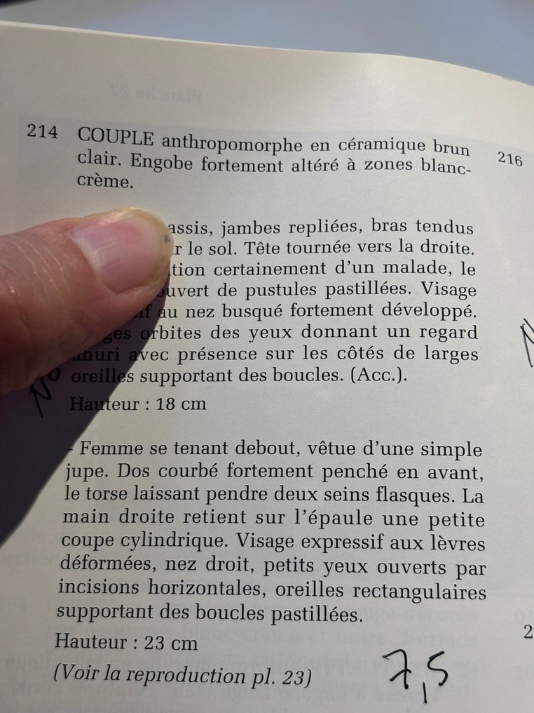 Nayarit Terracotta Frauenfigur. VERÖFFENTLICHT. 23 cm H. 100 v. Chr. – 250 n. Chr. Spanische Exportlizenz. #4.3