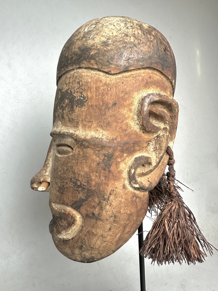 Central Asmat replacement head - KUS - West Papua  (No Reserve Price) #2.2