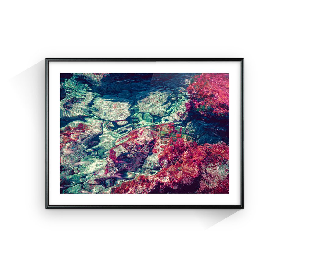 Jorge Omeñaca - Pink corals #3.2