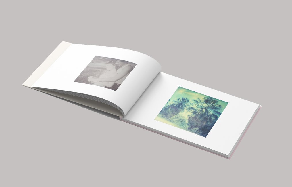 Stefanie Schneider - Morning (Till Death Do Us Part) - including the book 'A Half Forgotten Dream' #3.2