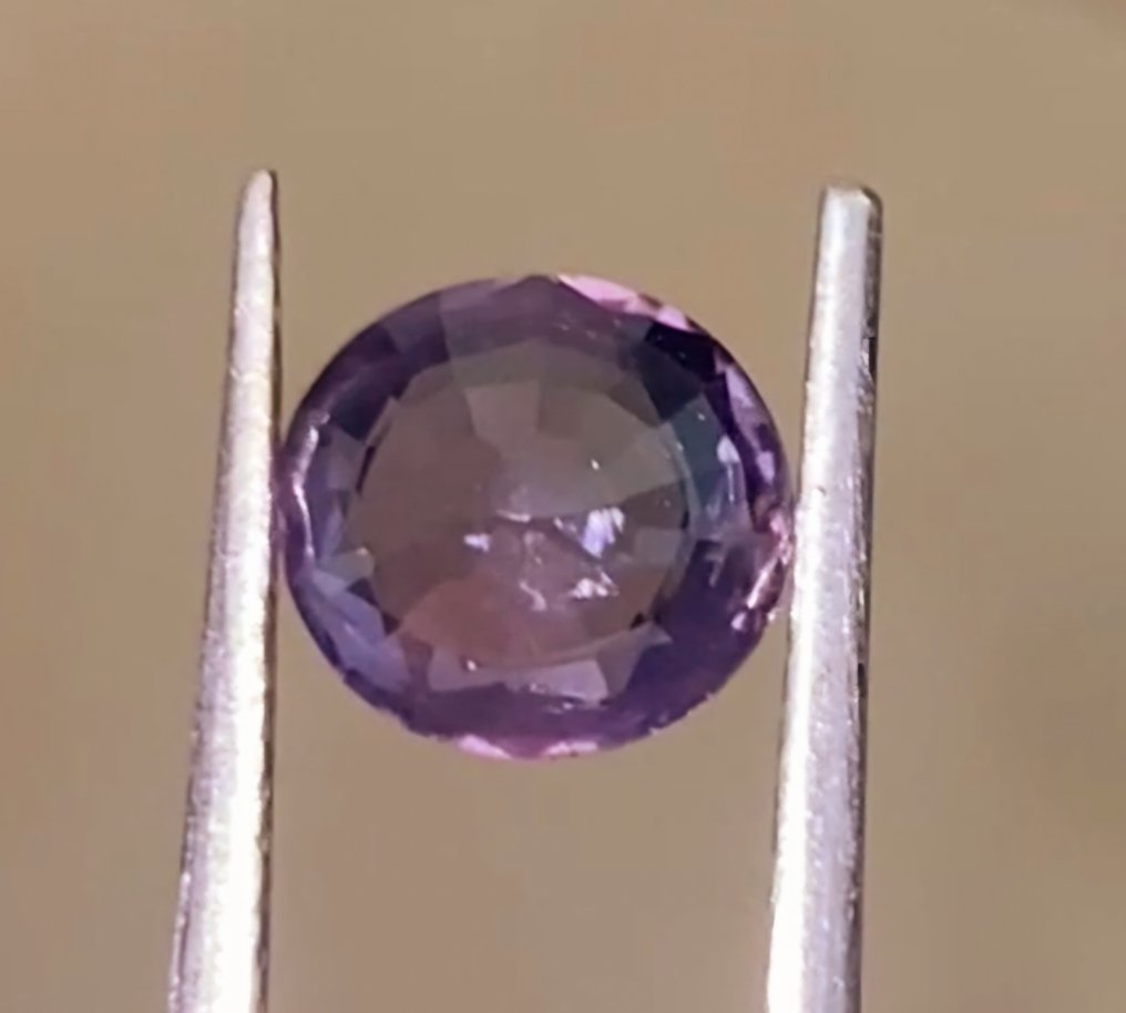 沒有保留價 - 1 pcs  紫色, 粉色 尖晶石  - 1.59 ct - Antwerp Laboratory for Gemstone Testing (ALGT) #4.3