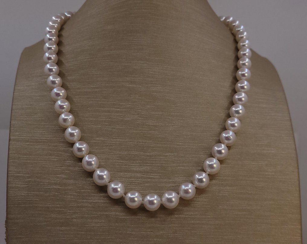 Collar Perlas Akoya certificadas ALGT - 7.0x7.4mm #4.3
