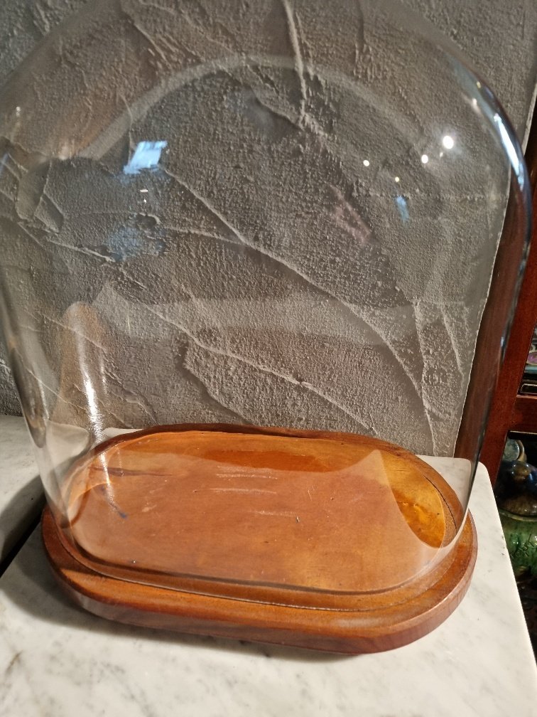 Karttapallo - !!! - GLAZEN STOLP - 1951-1960 - Kaunis Iso Oval Bell Jar hyvässä kunnossa, 31,5 cm leveä, 21 cm syvä ja 39 cm korkea jalustalla #1.1