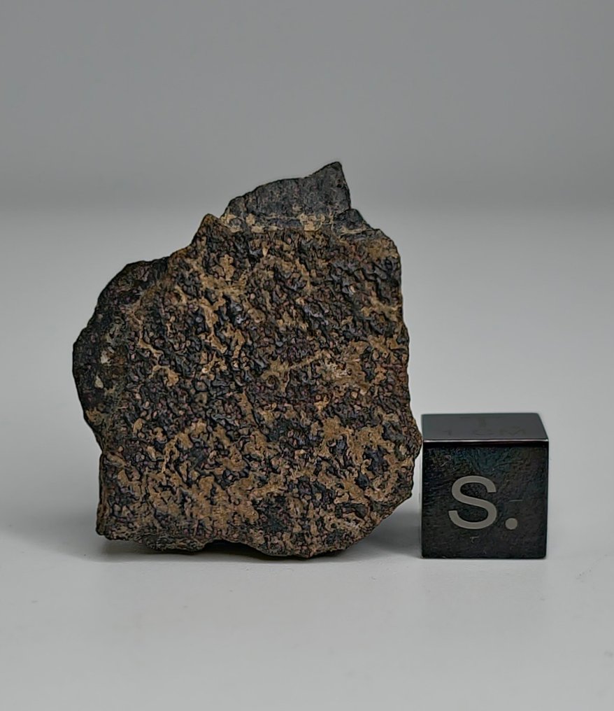 Meteorite carboniosa CO3, NWA 16415. Non prenotare il prezzo. - 17.46 g - (1) #1.1