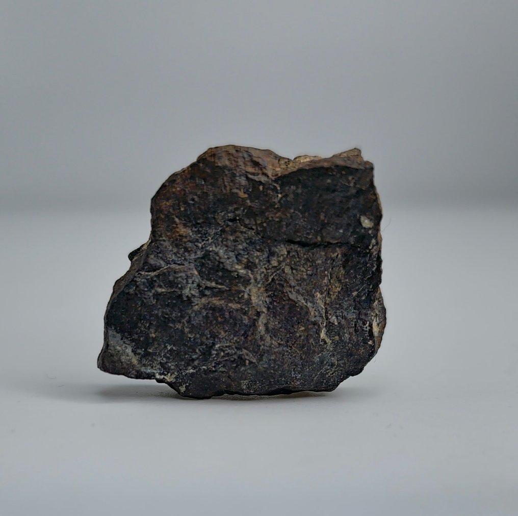 Meteorite carboniosa CO3, NWA 16415. Non prenotare il prezzo. - 17.46 g - (1) #2.1