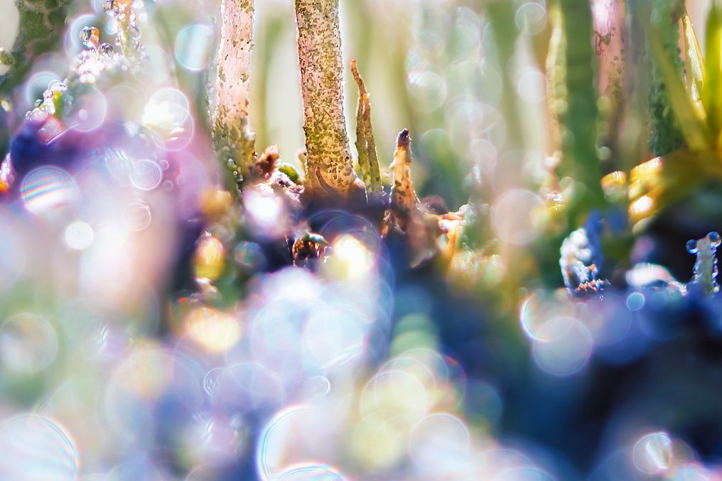 Inna Etuvgi - When We Said "Yes!" #2.1