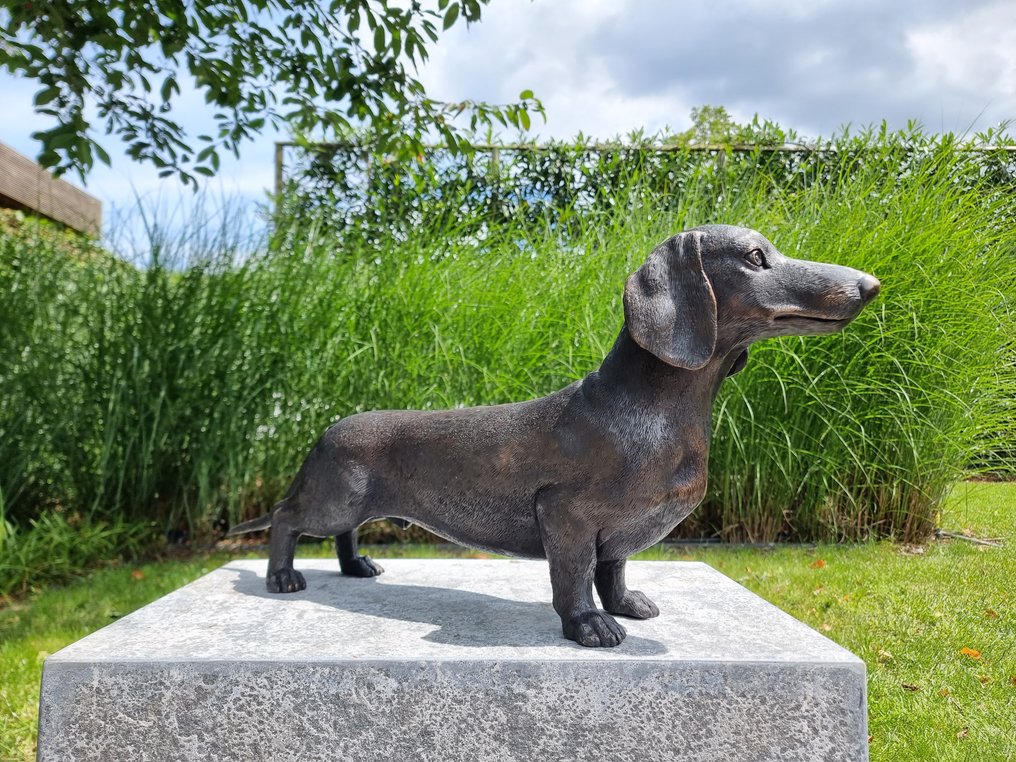 Figuriini - Grote teckel hond - Pronssi #4.3
