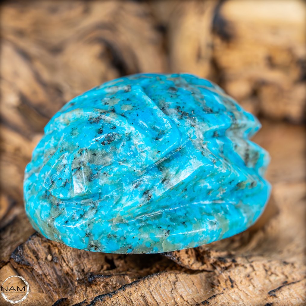 天然绿松石甲虫雕刻 亚利桑那 89.4 克拉- 17.88 g #4.3