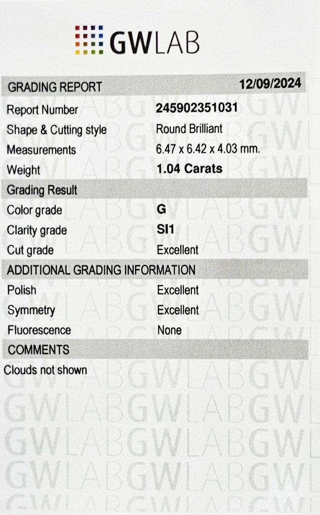 1 pcs 钻石  (天然)  - 1.04 ct - 圆形 - G - SI1 微内含一级 - Gemewizard宝石实验室（GWLab） #4.3