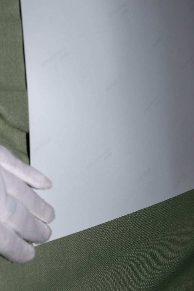 Nata Chebotareva (1972-) - Peonies and the Witch #4.3