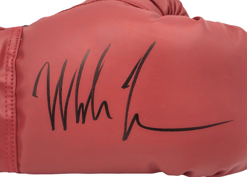The Hangover - Mike Tyson - Signed Glove - With COA #1.0
