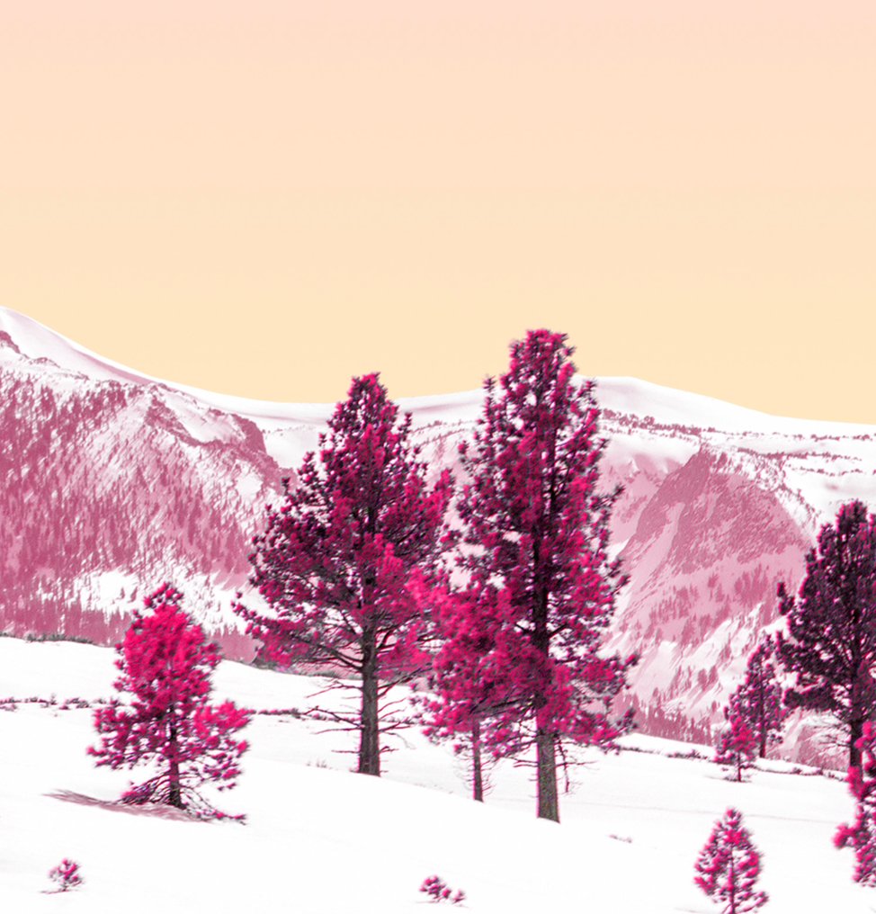 Téber - Reunion · No Reserve #3.2