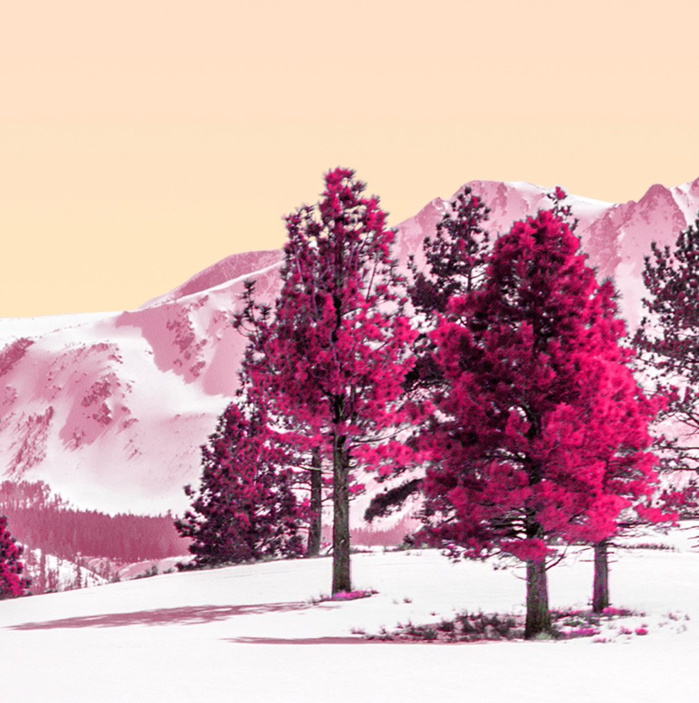 Téber - Reunion · No Reserve #1.0