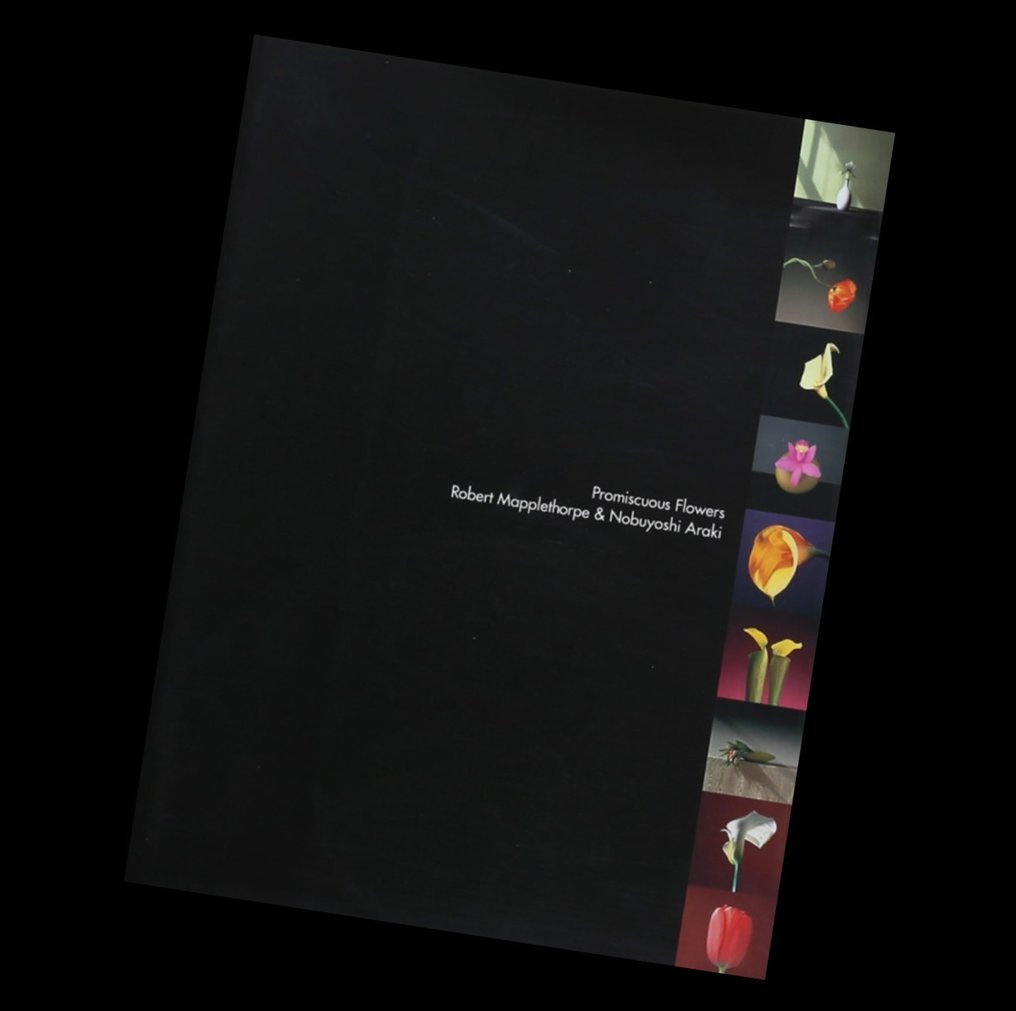 Robert Mapplethorpe & Nobuyoshi Araki - Hundreds of flowers - 2001 #1.0
