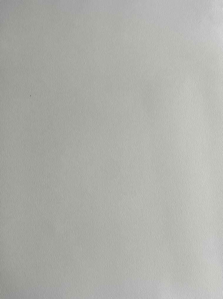 Jean Cocteau (1889-1963) - Le testament #4.3