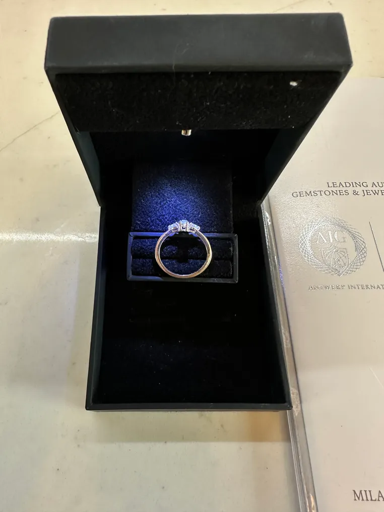 Ring - 14 karat Hvidguld Diamant (Natur) - Diamant - 0,84 ct #4.3