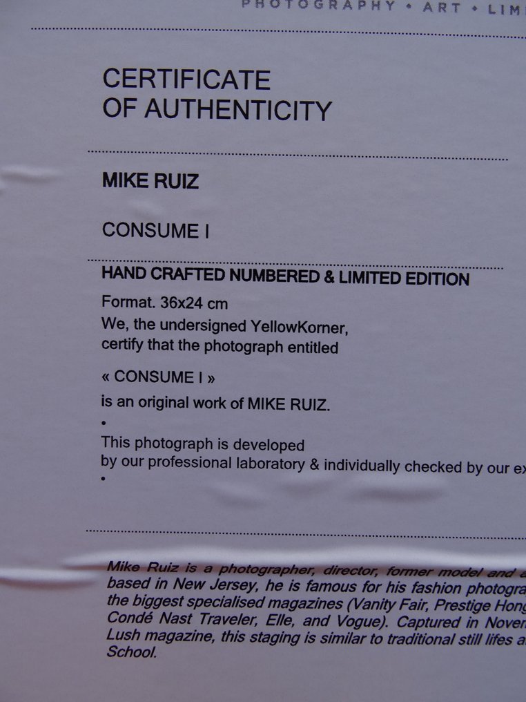 Mike Ruiz - Consume #3.2