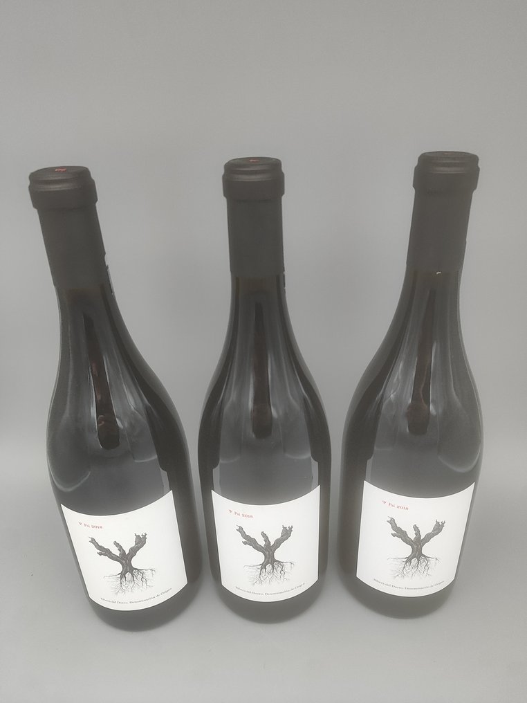 2018 Dominio de Pingus, Psi - Ribera del Duero - 3 Bouteilles (0,75 L) #2.1