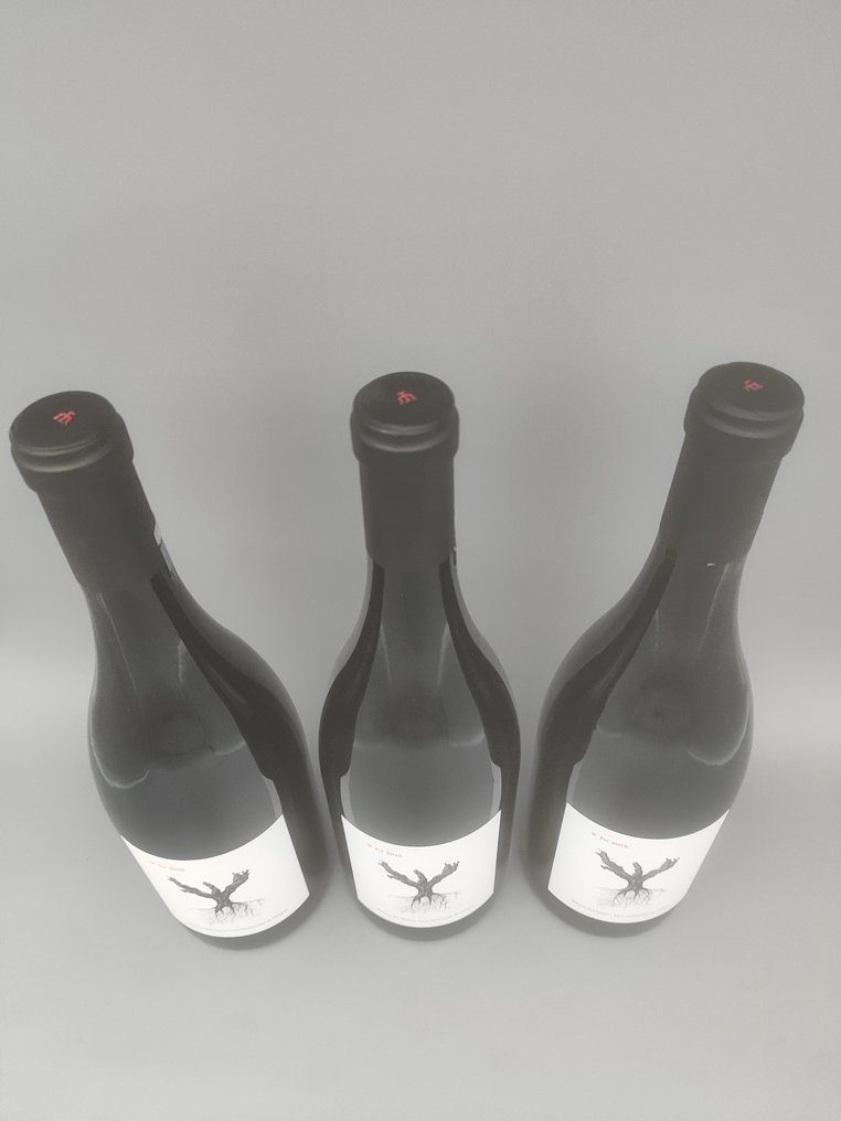 2018 Dominio de Pingus, Psi - Ribera del Duero - 3 Bouteilles (0,75 L) #3.2