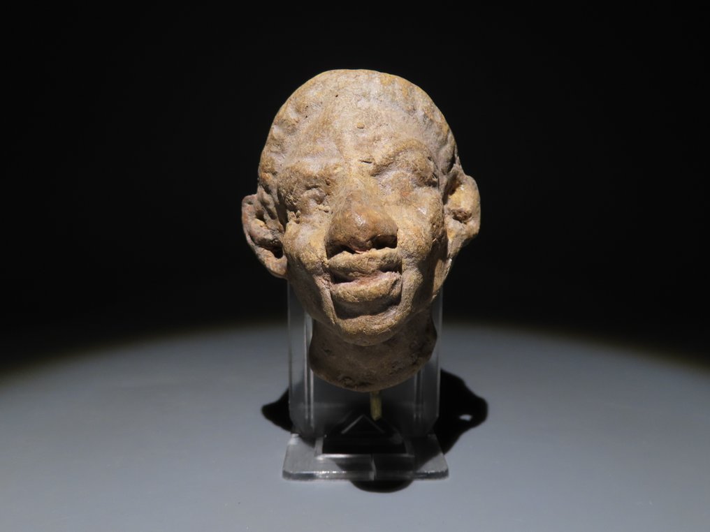古埃及 Terracotta 怪异的头部。公元前2世纪至公元1世纪。高7.5厘米。 #1.0