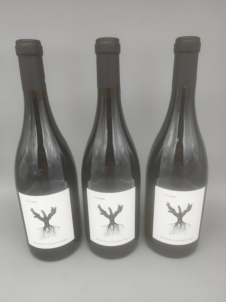 2018 Dominio de Pingus, Psi - Ribera del Duero - 3 Bouteilles (0,75 L) #1.0