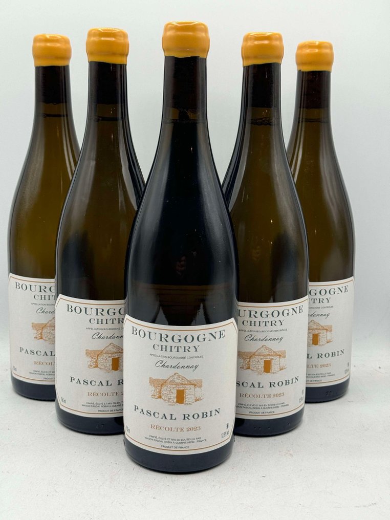 2023 Pascal Robin Bourgogne "Coteaux de Chitry" - Bourgogne - 6 Pullot (0.7 L) #1.1