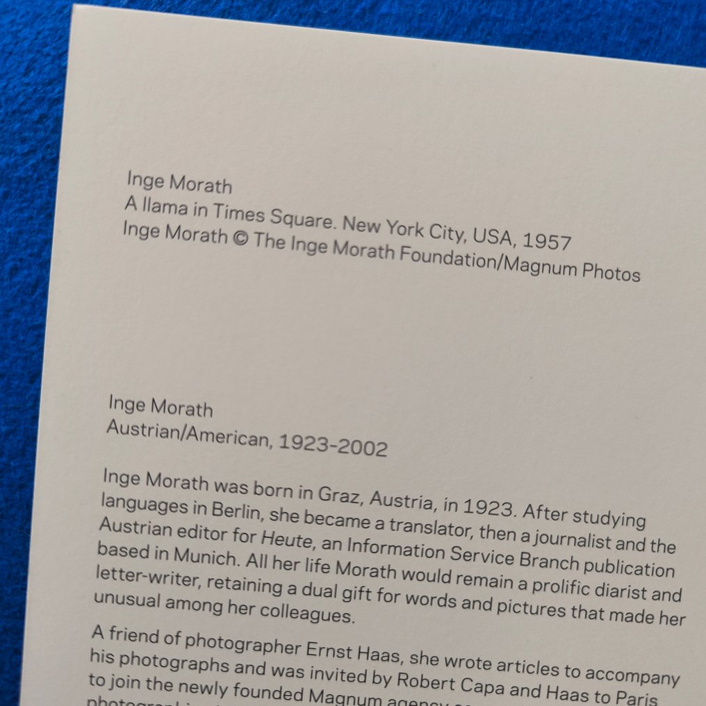 Inge Morath - A llama in Times Square. New York City, USA, 1957 #4.3