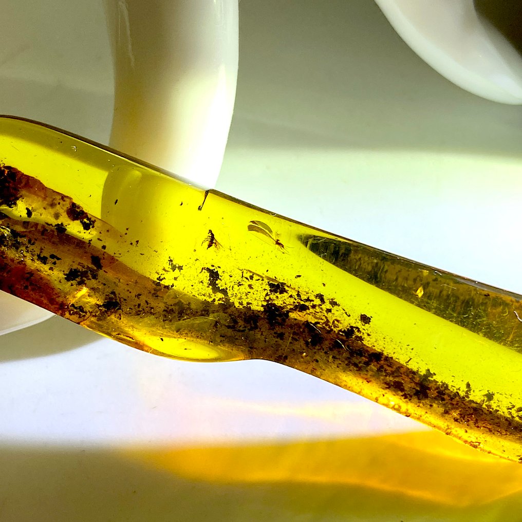 真正的波罗的海琥珀，内含化石昆虫，尺寸7厘米，重7.4克。 - 琥珀 - Baltic amber - succinite #3.2