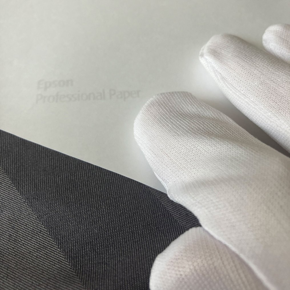 Arnold Mariashin - Photogram 101 - XL - No reserve #4.3