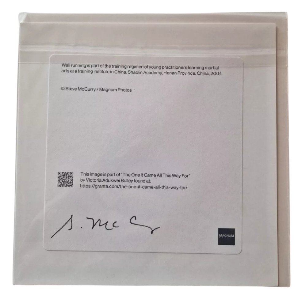 Steve McCurry (1950–) - Shaolin, Henan Province, China, 2004 #3.2