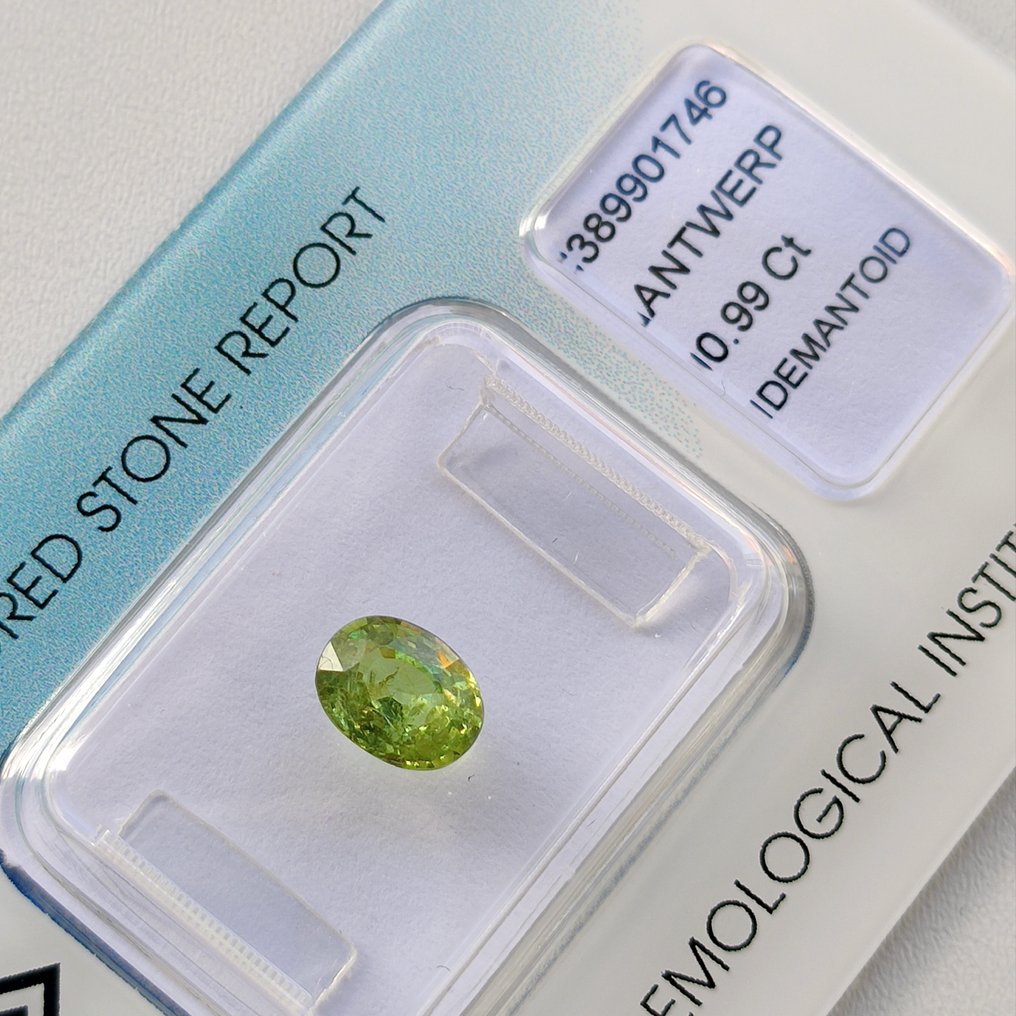 翠榴石  - 0.99 ct - 国际宝石研究院（IGI） #2.1