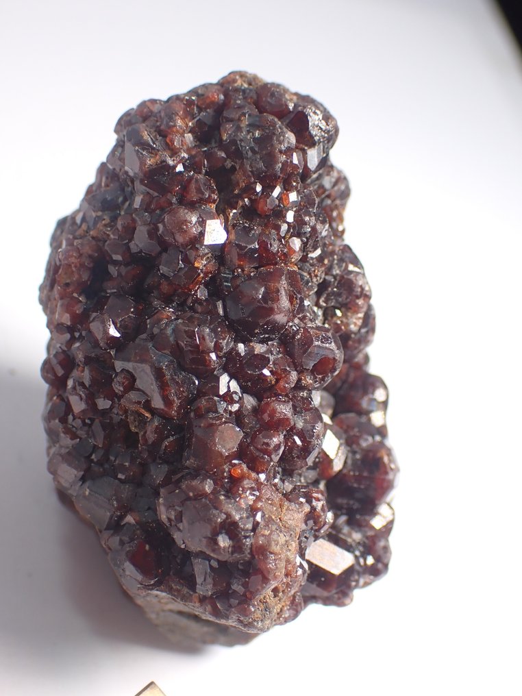 Garnet 水晶在矩陣上 - 高度: 50 mm - 闊度: 32 mm- 70 g - (1) #4.3
